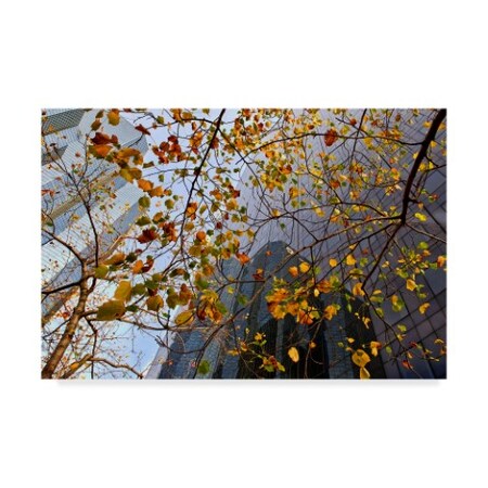 Trademark Fine Art Jure Kravanja 'Autumn' Canvas Art, 12x19 1X04480-C1219GG